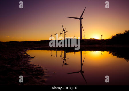 Le turbine eoliche in una fattoria eolica al tramonto con riflessi, Creta, Grecia Foto Stock