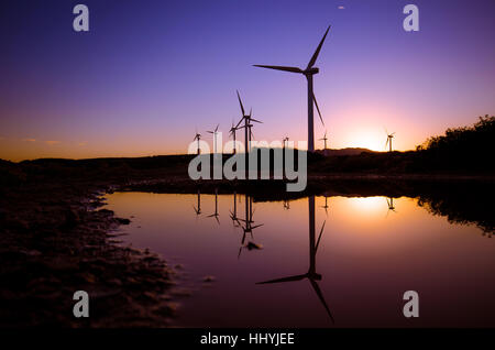 Le turbine eoliche in una fattoria eolica al tramonto con riflessi, Creta, Grecia Foto Stock