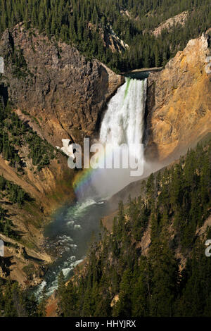 WYOMING - Arcobaleno sotto le Cascate Inferiori nel Grand Canyon di Yellowstone dal punto di vedetta nel Parco Nazionale di Yellowstone. Foto Stock