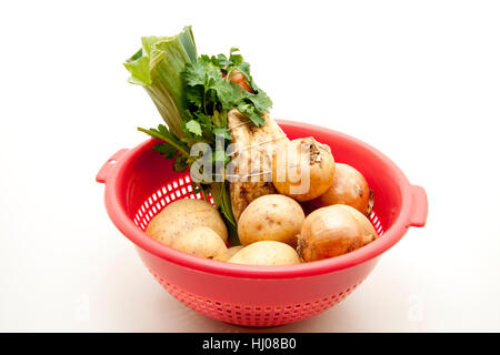 Cipolla, carote, prezzemolo, porro, sellery, sedano, erbe, di patate, potatoe, Foto Stock