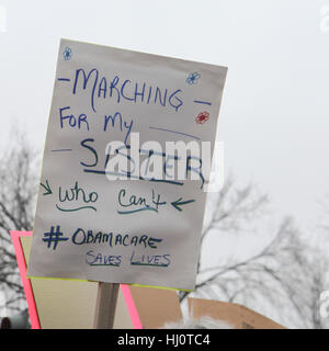 Washington, DC, Stati Uniti. Xxi gen, 2017. Le donne di marzo su Washington. Credito: Susan Pease/Alamy Live News Foto Stock