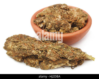La cannabis medicinale utilizzato come droghe legali in molti paesi Foto Stock