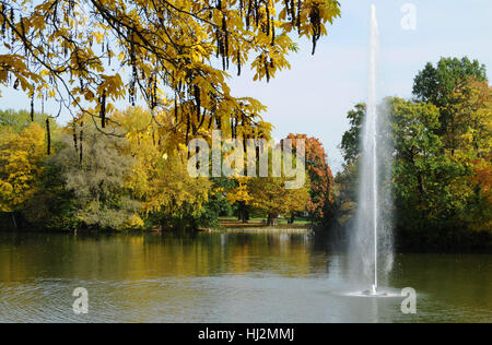 Fontana di acqua di colonia la foresta della città Foto Stock