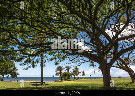 Haleiwa Park in North Shore Oahu, Hawaii Foto Stock