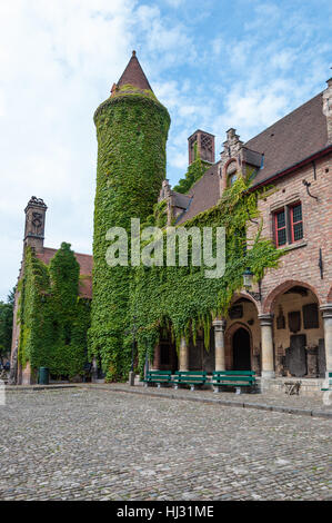 L'edera che ricopre le pareti e la torre del Museo Gruuthuse, Bruges, Belgio Foto Stock