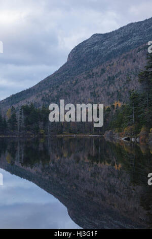 Greeley stagni Scenic Area - Superiore Greeley stagno nelle White Mountains, New Hampshire USA su un nuvoloso giorno d'autunno. Foto Stock