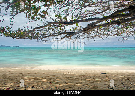 Sotto l'ombra di un albero in Waimanalo Beach, Windward Oahu, Hawaii, STATI UNITI D'AMERICA Foto Stock