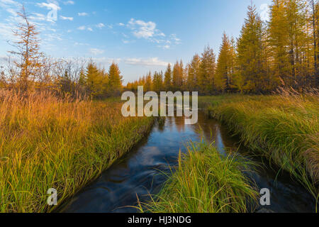 Bella giornata d'autunno con fiume, foresta e alberi gialli, esterno natura sfondo, banner. Foto Stock