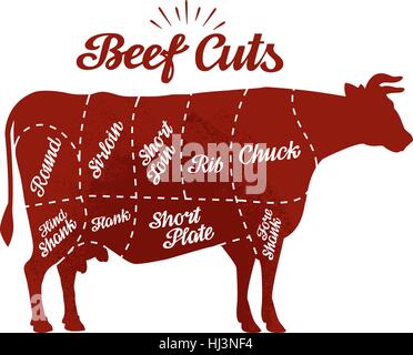 Butcher Shop. Tagli di carni bovine. Illustrazione Vettoriale Illustrazione Vettoriale