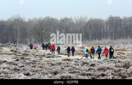 Un gruppo di escursionisti in Hothfield, Kent, come alcune aree rurali sono attesi per vedere i minimi di meno 7C (19.4F) come il clima invernale continua, secondo forecasters. Foto Stock