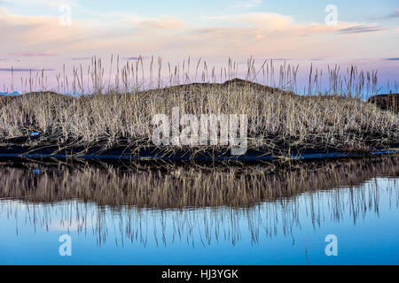Una palude erbosa lungo il pendio di una collina in Islanda è riflesso da un laghetto incorniciato contro un tramonto pastello come il giorno scivola a notte. Foto Stock