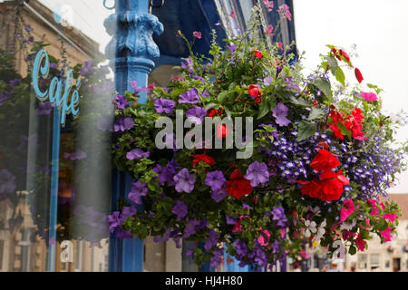 Parte anteriore del coffee shop, fiori in cesto pensile, Glastonbury, Somerset, Inghilterra, Regno Unito Foto Stock