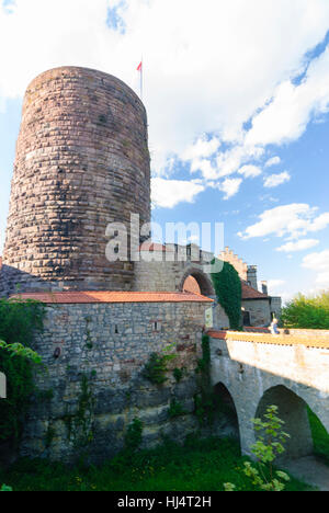 A Hammelburg: Saaleck Castello, Unterfranken, bassa Franconia, Baviera, Baviera, Germania Foto Stock