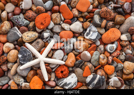 Immagine di sfondo della pittoresca spiaggia di pietre e stelle marine Foto Stock