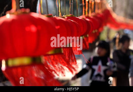 Kunming, la Cina della provincia dello Yunnan. Xxi gen, 2017. Lanterne rosse sono appesi al Parco Daguan per celebrare la prossima primavera Fesitval in Kunming, capitale del sud-ovest della Cina di Provincia di Yunnan, Gennaio 21, 2017. Credito: Lin Yiguang/Xinhua/Alamy Live News Foto Stock