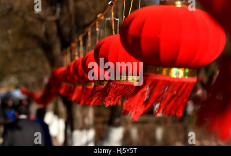 Kunming, la Cina della provincia dello Yunnan. Xxi gen, 2017. Lanterne rosse sono appesi al Parco Daguan per celebrare la prossima primavera Fesitval in Kunming, capitale del sud-ovest della Cina di Provincia di Yunnan, Gennaio 21, 2017. Credito: Lin Yiguang/Xinhua/Alamy Live News Foto Stock