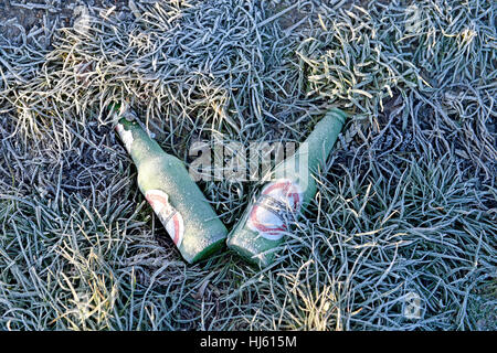 Brighton Sussex, Regno Unito. Il 22 gennaio, 2017. Di ghiaccio freddo bottiglie di birra a sinistra in un campo vicino a Brighton come il freddo continua in tutta la Gran Bretagna meridionale con temperature meteo a scendere a meno 5 gradi centigradi in alcune aree Credito: Simon Dack/Alamy Live News Foto Stock