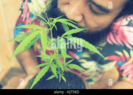 Felice l'uomo con la pianta di cannabis in una pentola Foto Stock