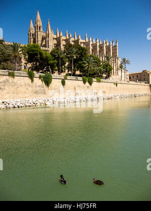 Cattedrale di Palma de Mallorca Foto Stock