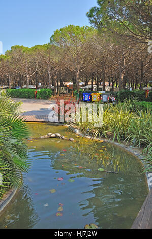Tartarughe di acqua dolce pond in Unian Lido, Cavallino Jesolo, Italia. Foto Stock