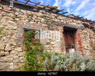 La rovina di cottage in pietra con ricoperta di vegetazione sulla cima della montagna nel nord Italia Foto Stock