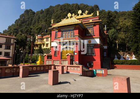 Triten Norbutse Bonpo Monastero, Kathmandu in Nepal Bon religione Foto Stock