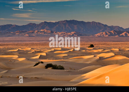 Cadice dune di sunrise, Sheephole montagne in distanza al Deserto Mojave, Mojave sentieri monumento nazionale, CALIFORNIA, STATI UNITI D'AMERICA Foto Stock