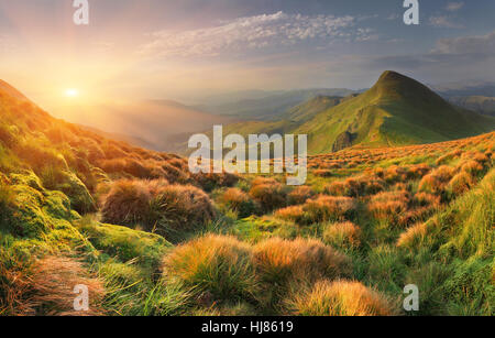 Bella estate paesaggio di montagna. Sunrise Foto Stock