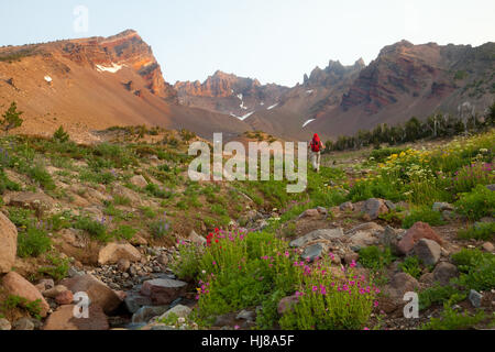 Escursionista in un Flower-Filled Bacino di montagna vicino a curvatura Oregon Foto Stock