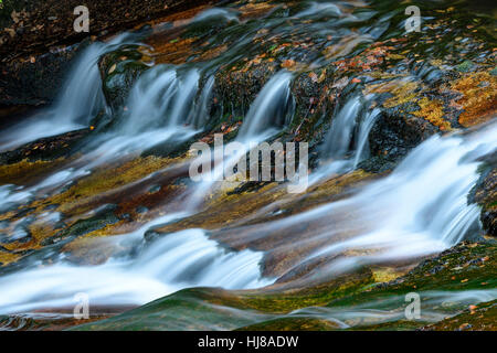 Steinerne Renne cascata, monumento naturale, sezione di valle di Holtemme, Hasserode, Parco Nazionale di Harz, Sassonia-Anhalt, Germania Foto Stock