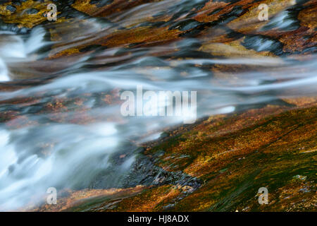 Steinerne Renne cascata, monumento naturale, sezione di valle di Holtemme, Hasserode, Parco Nazionale di Harz, Sassonia-Anhalt, Germania Foto Stock