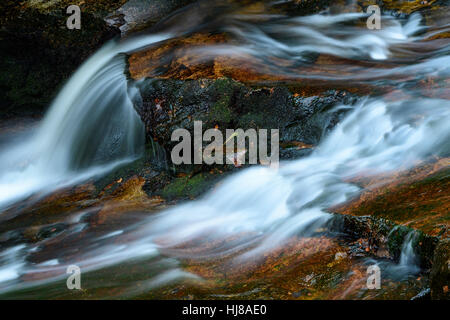 Steinerne Renne cascata, monumento naturale, sezione di valle di Holtemme, Hasserode, Parco Nazionale di Harz, Sassonia-Anhalt, Germania Foto Stock