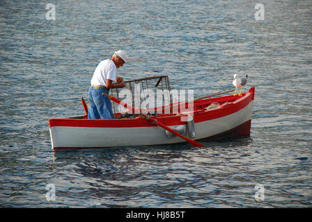 Pescatore con trappola di pesce nel porto di Marciana Marina Isola d'Elba toscana italia Foto Stock