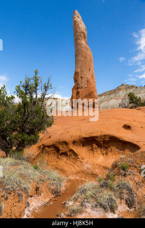 La Ballerina guglia tubazione di sabbia che si innalzano al di fuori dell'Entrada arenaria lungo il sentiero panoramico. Kodachrome Basin Parco Statale, Utah Foto Stock