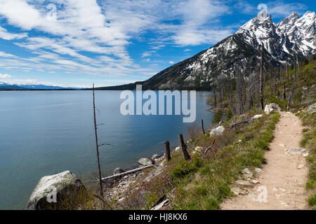 Il Jenny Lago Trail avvolgendo Lake Jenny in Jackson Hole. Il Parco Nazionale del Grand Teton, Wyoming Foto Stock