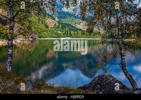 Lago orlate da alberi, Antrona Schieranco, Piemonte, Italia Foto Stock