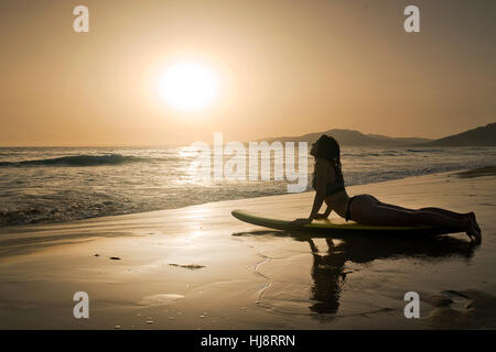 Silhouette di una donna su una tavola da surf facendo yoga cobra pongono Foto Stock