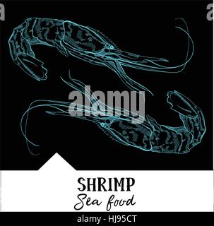 Illustrazione Vettoriale i gamberi per un menu di piatti a base di pesce Illustrazione Vettoriale