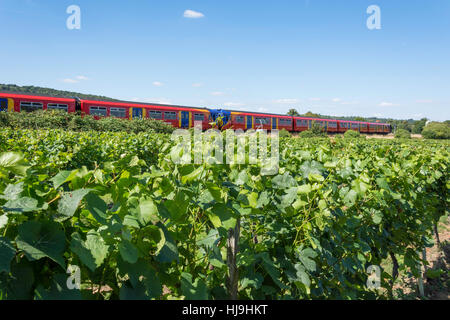 Sud Ovest treno passa Denbies Wine Estate, London Road, Dorking Surrey, Inghilterra, Regno Unito Foto Stock