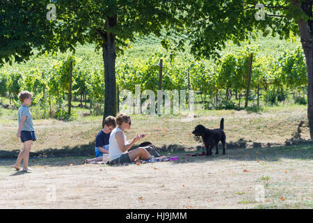 Picnic in famiglia al Denbies Wine Estate, London Road, Dorking Surrey, Inghilterra, Regno Unito Foto Stock