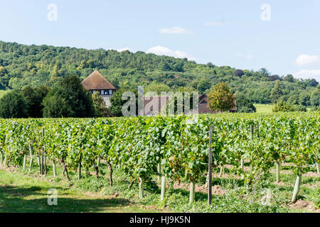 Ingresso principale e il ristorante Gallery al Denbies Wine Estate,London Road, Dorking, Surrey, Regno Unito Foto Stock