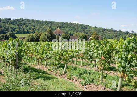 Ingresso principale e il ristorante Gallery al Denbies Wine Estate, London Road, Dorking, Surrey, Regno Unito Foto Stock