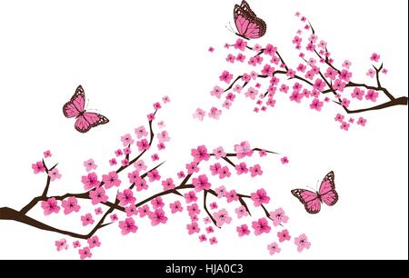 Illustrazione vettoriale di fiore di ciliegio rami con farfalle Illustrazione Vettoriale