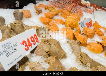 Astice in un mercato di pesce Foto Stock