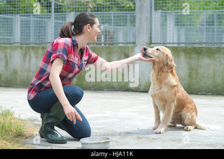 Animal Shelter volontario alimentazione dei cani Foto Stock