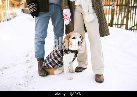 Irriconoscibile coppia senior all'aperto con il cane in inverno la natura. Foto Stock