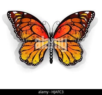Arancione, realistico farfalla monarca su uno sfondo bianco. La Monarch. Design con farfalle. Illustrazione Vettoriale