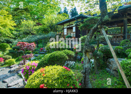 Un tradizionale giardino giapponese del tè e la casa, chashitsu, vicino a Tokyo in Giappone Foto Stock