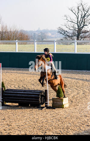 Pilota femmina sul suo cavallo metà salto oltre un recinto a un concorso. Foto Stock