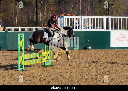 Pilota femmina sul suo cavallo metà salto oltre un recinto a un concorso. Foto Stock